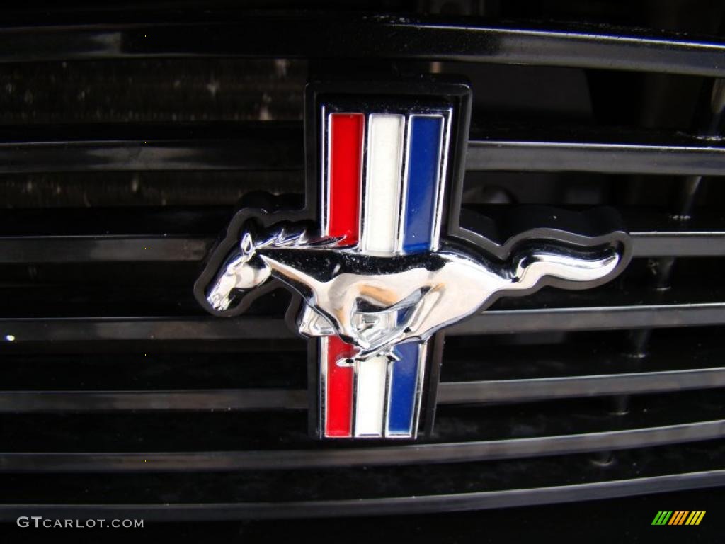 2007 Mustang V6 Premium Coupe - Black / Dark Charcoal photo #30