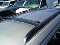 Arizona Beige Metallic - Freestar SEL Photo No. 15