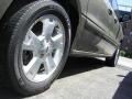 Arizona Beige Metallic - Freestar SEL Photo No. 21
