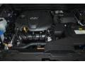 Platinum Graphite - Optima EX Photo No. 19