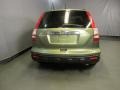 Green Tea Metallic - CR-V EX 4WD Photo No. 10
