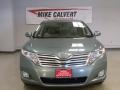 Aloe Green Metallic - Venza I4 Photo No. 2