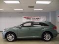 Aloe Green Metallic - Venza I4 Photo No. 3