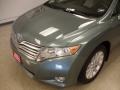 Aloe Green Metallic - Venza I4 Photo No. 5