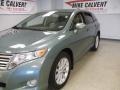Aloe Green Metallic - Venza I4 Photo No. 6