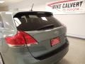 Aloe Green Metallic - Venza I4 Photo No. 8