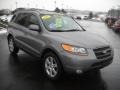 Steel Gray - Santa Fe SE 4WD Photo No. 2