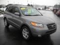 2007 Steel Gray Hyundai Santa Fe SE 4WD  photo #2