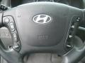 2007 Steel Gray Hyundai Santa Fe SE 4WD  photo #19