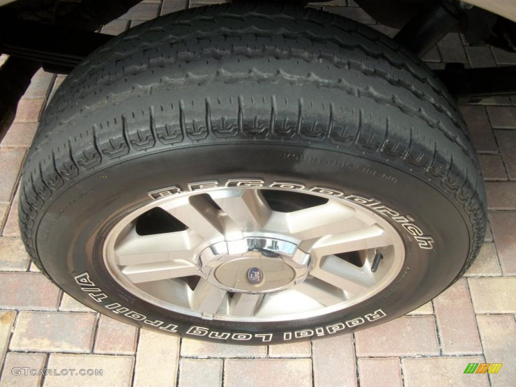 2005 F150 Lariat SuperCrew - Dark Stone Metallic / Tan photo #5