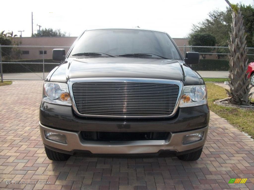 2005 F150 Lariat SuperCrew - Dark Stone Metallic / Tan photo #14