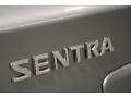 Magnetic Gray - Sentra 2.0 Photo No. 34