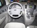 2010 Clear Silver Kia Sedona EX  photo #14