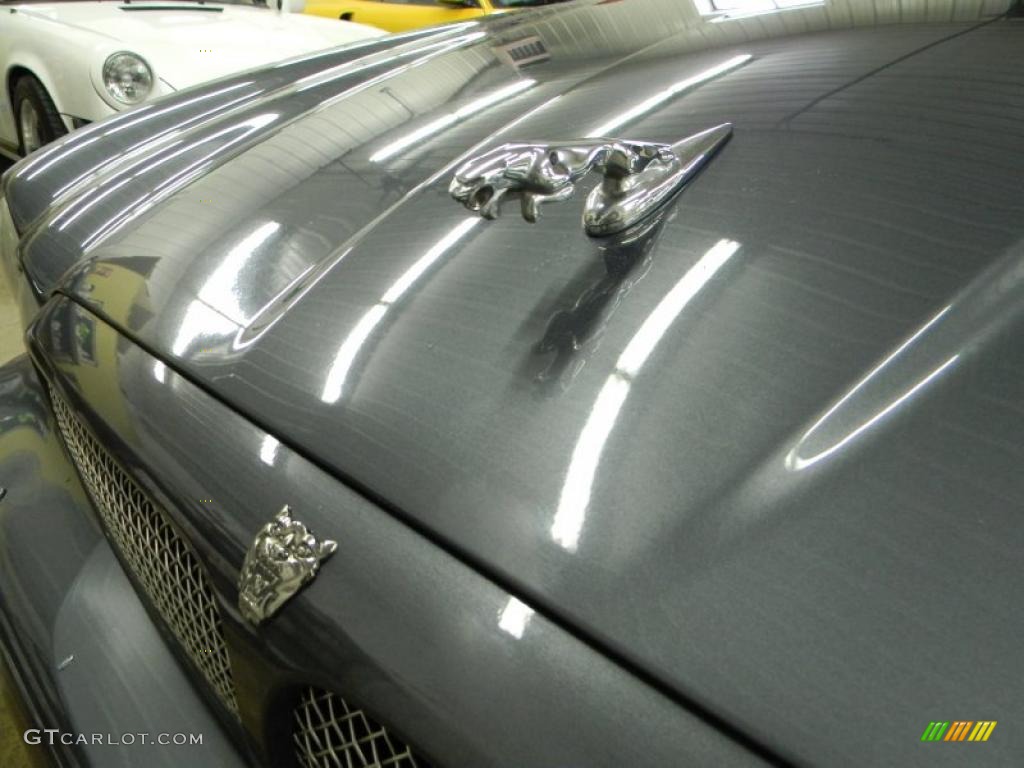 2004 Jaguar XJ XJR Marks and Logos Photo #44060960