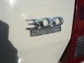 Stone White - 300 Touring Photo No. 34