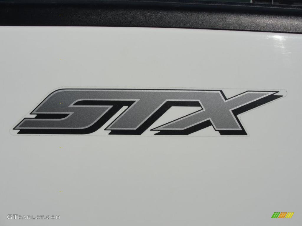 2005 Ford F150 STX Regular Cab Marks and Logos Photo #44076984