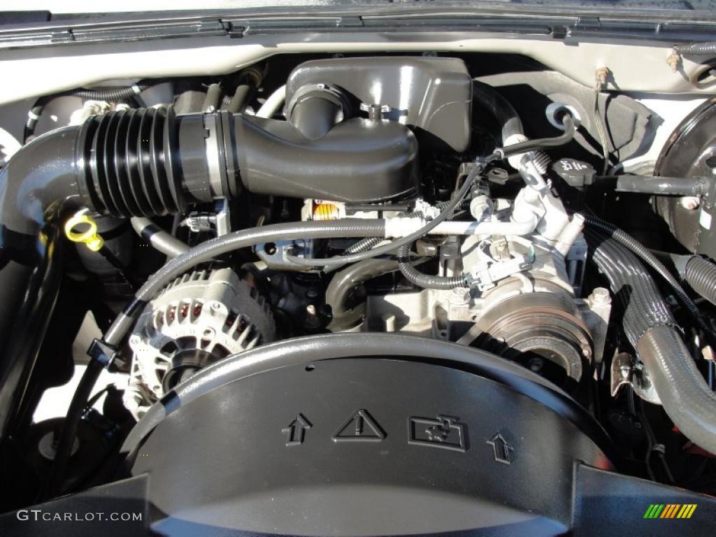 2004 Chevrolet Silverado 1500 Regular Cab 4.3 Liter OHV 12-Valve Vortec V6 Engine Photo #44111726