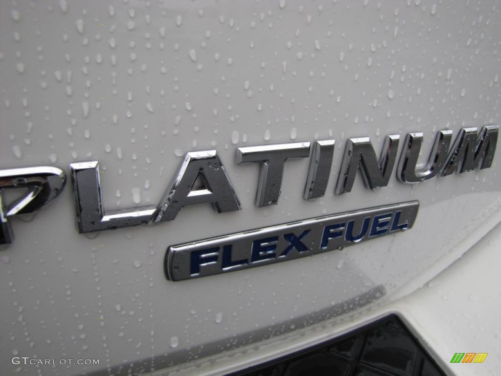 2010 Nissan Armada Platinum Marks and Logos Photo #44123186