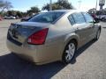 2005 Spirited Bronze Pearl Nissan Maxima 3.5 SL  photo #12