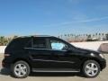 Black - ML 350 Photo No. 2