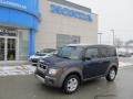 2003 Eternal Blue Pearl Honda Element EX AWD  photo #1