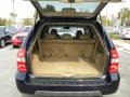 2003 Midnight Blue Pearl Acura MDX Touring  photo #15