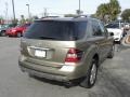 2008 Sand Beige Metallic Mercedes-Benz ML 350 4Matic  photo #15