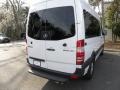 Arctic White - Sprinter 2500 High Roof Passenger Van Photo No. 13