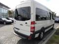 2011 Arctic White Mercedes-Benz Sprinter 2500 High Roof Passenger Van  photo #12