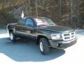 Brilliant Black Crystal Pearl 2010 Dodge Dakota Big Horn Crew Cab