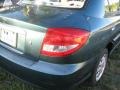 Willow Green - Rio Sedan Photo No. 9