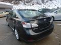 Smoky Granite Mica 2010 Lexus HS 250h Hybrid Premium Exterior
