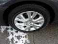 Magnetic Gray Metallic - Avalon XLS Photo No. 7