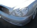 2005 Bright Silver Hyundai Sonata LX V6  photo #4
