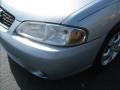Molten Silver - Sentra GXE Photo No. 4
