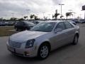Light Platinum - CTS Sedan Photo No. 7