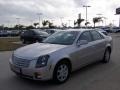 2007 Light Platinum Cadillac CTS Sedan  photo #7