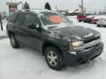 Dark Gray Metallic - TrailBlazer LS 4x4 Photo No. 1