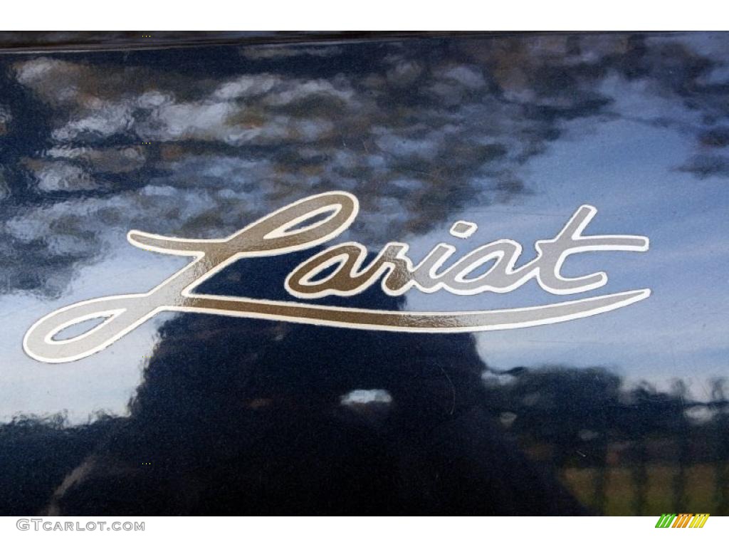 2002 F150 Lariat SuperCrew 4x4 - Charcoal Blue Metallic / Medium Parchment photo #91