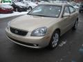 2008 Light Almond Beige Kia Optima LX  photo #7