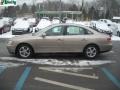 Golden Beige Metallic - Azera SE Photo No. 6