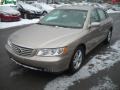 Golden Beige Metallic - Azera SE Photo No. 7