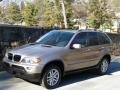 Kalahari Beige Metallic - X5 3.0i Photo No. 1