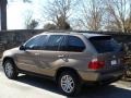 Kalahari Beige Metallic - X5 3.0i Photo No. 4