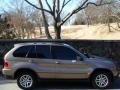 Kalahari Beige Metallic - X5 3.0i Photo No. 10