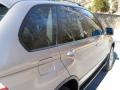 Kalahari Beige Metallic - X5 3.0i Photo No. 12