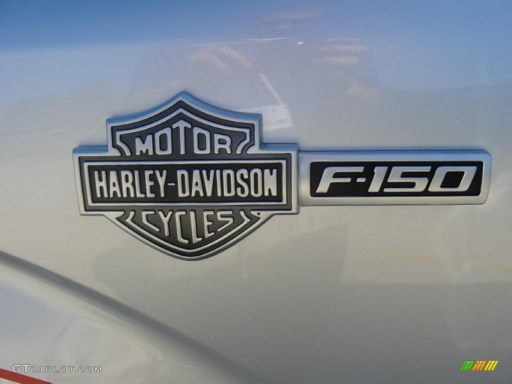 2011 F150 Harley-Davidson SuperCrew - Ingot Silver Metallic / Black/Silver Smoke photo #16
