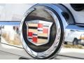 Quicksilver - Escalade ESV AWD Photo No. 33