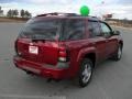 Red Jewel Tint Coat - TrailBlazer LS Photo No. 4