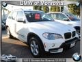 Alpine White - X5 3.0si Photo No. 1